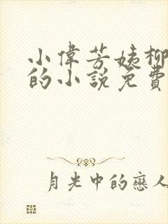 小伟芳姨柳娇娇的小说免费阅读