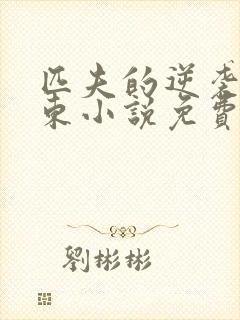 匹夫的逆袭刘汉东小说免费阅读