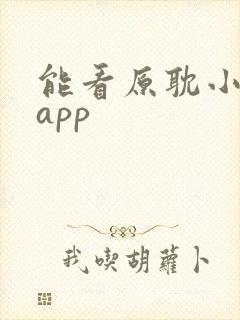 能看原耽小说的app