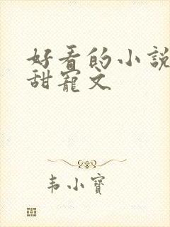 好看的小说言情甜宠文