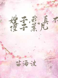嫂子,我真不是傻子叶凡