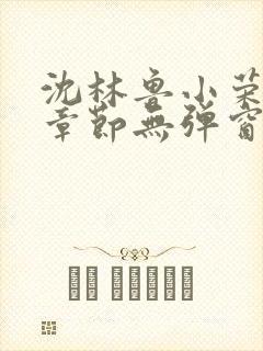 沈林鲁小荣最新章节无弹窗笔趣阁