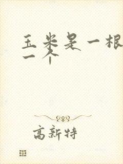 玉米是一根还是一个