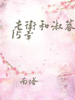 老卫和淑蓉8到15章