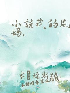 小说我的风流妈妈,