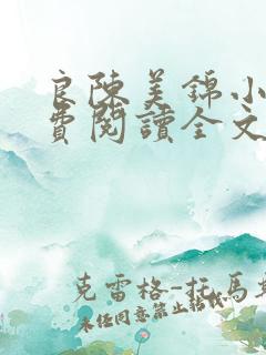 良陈美锦小说免费阅读全文