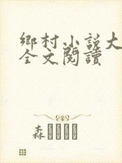 乡村小说大凶器全文阅读