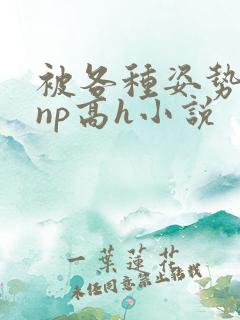 被各种姿势玩弄np高h小说