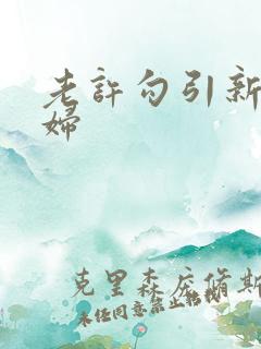 老许勾引新婚少妇