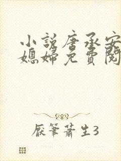 小说唐承安和儿媳妇免费阅读全文