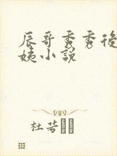 辰哥秀秀后妈丽姨小说