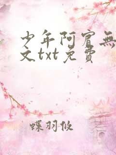 少年阿宾无删全文txt免费