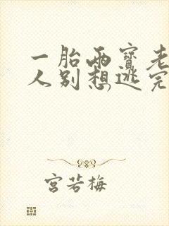 一胎两宝老婆大人别想逃完整版免费阅读