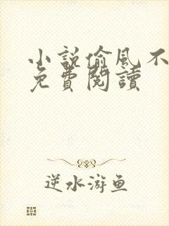 小说偷风不偷月免费阅读