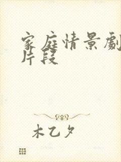 家庭情景剧打架片段
