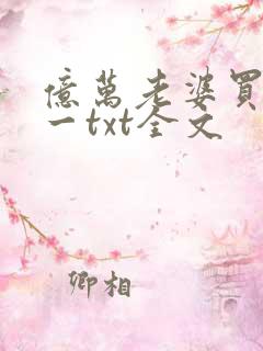 亿万老婆买一送一txt全文