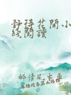 静待花开小说在线阅读