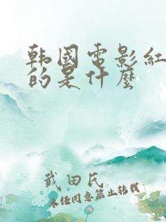 韩国电影红字讲的是什么