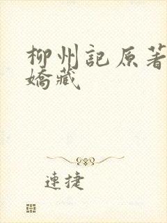 柳州记原著小说娇藏