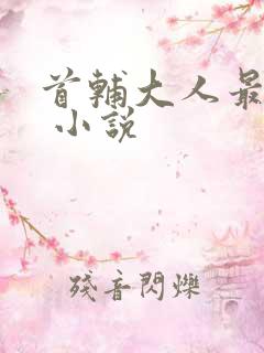 首辅大人最宠妻 小说