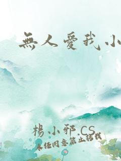 无人爱我小说