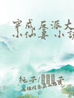 穿成反派大佬的小仙妻 小说