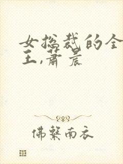女总裁的全能兵王,萧晨