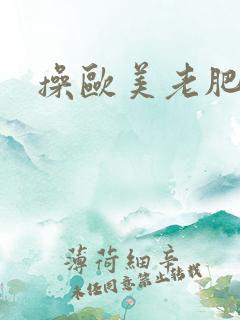 操欧美老肥女