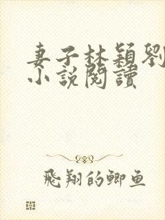 妻子林颖刘晓莉小说阅读