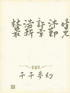 林浩许沐晴小说最新章节免费阅读全文