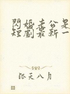 闪婚老公是总裁短剧最新一集