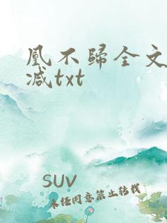 凰不归全文无删减txt