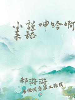 小说呻吟啊快进来舔