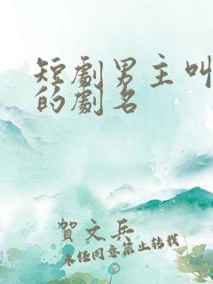 短剧男主叫叶晨的剧名