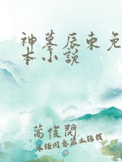 神墓辰东免费全本小说