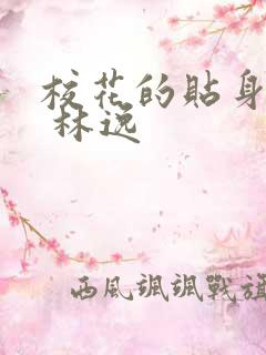 校花的贴身高手 林逸