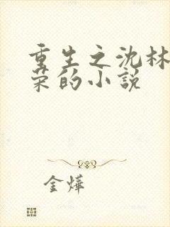 重生之沈林鲁小荣的小说