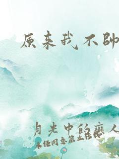 原来我不帅小说