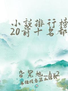 小说排行榜2020前十名都市