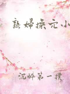 熟妇操穴小说