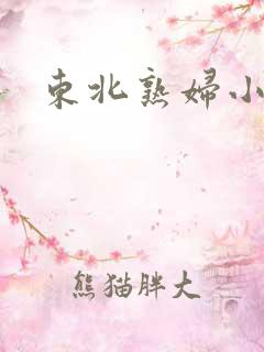 东北熟妇小说