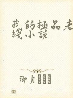 我的极品老婆在线小说