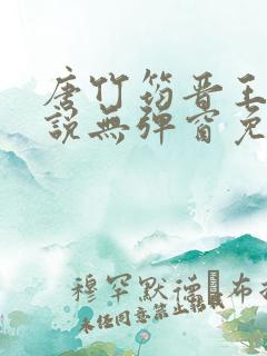 唐竹筠晋王的小说无弹窗免费阅读
