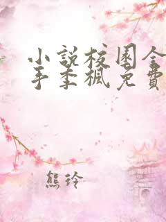 小说校园全能高手季枫免费完本