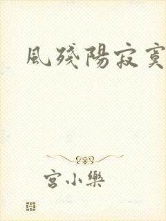 风残阳寂寞山村