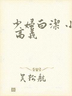 少妇白洁 小说 高义