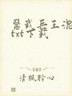 医武兵王混乡村txt下载