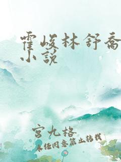 霍峻林舒乔林满小说