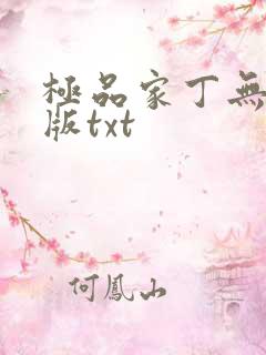 极品家丁无删减版txt