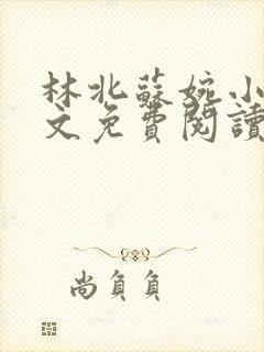 林北苏婉小说全文免费阅读言情